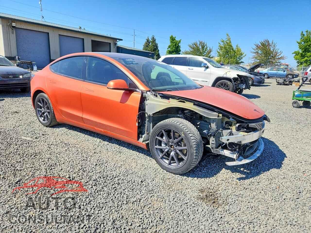 TESLA MODEL 3 2019 - 5YJ3E1EB4KF205761