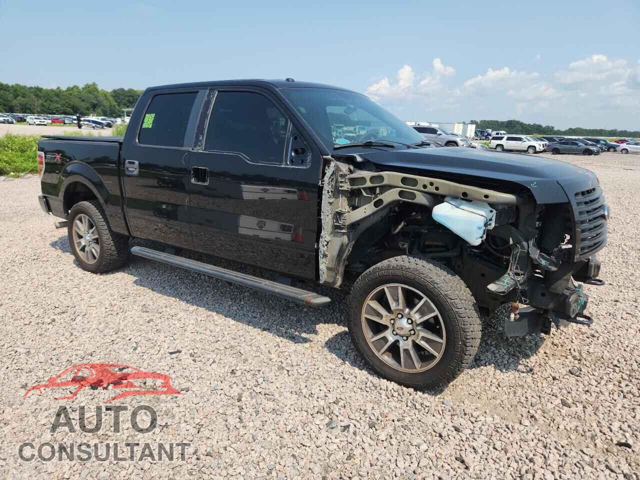 FORD F150 2014 - 1FTFW1EF2EFC25231