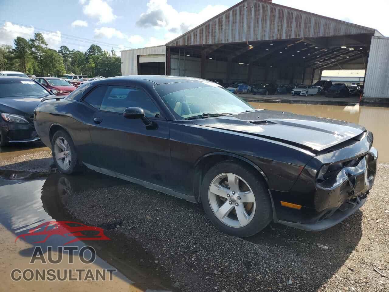 DODGE CHALLENGER 2013 - 2C3CDYAG2DH676113