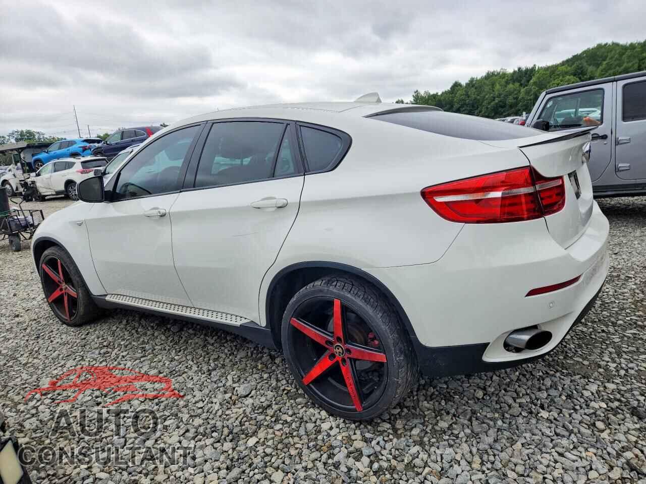 BMW X6 2014 - 5UXFG2C54E0C43361