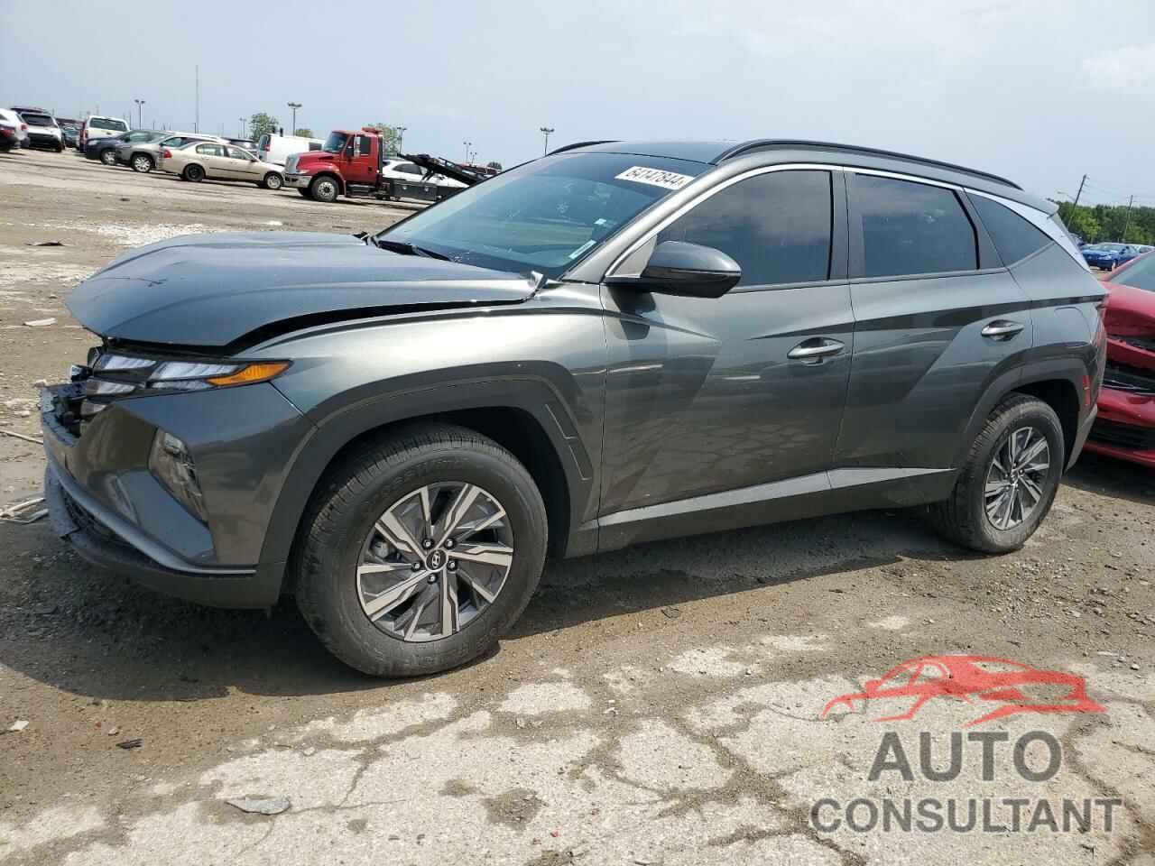 HYUNDAI TUCSON 2023 - KM8JBCA16PU098103