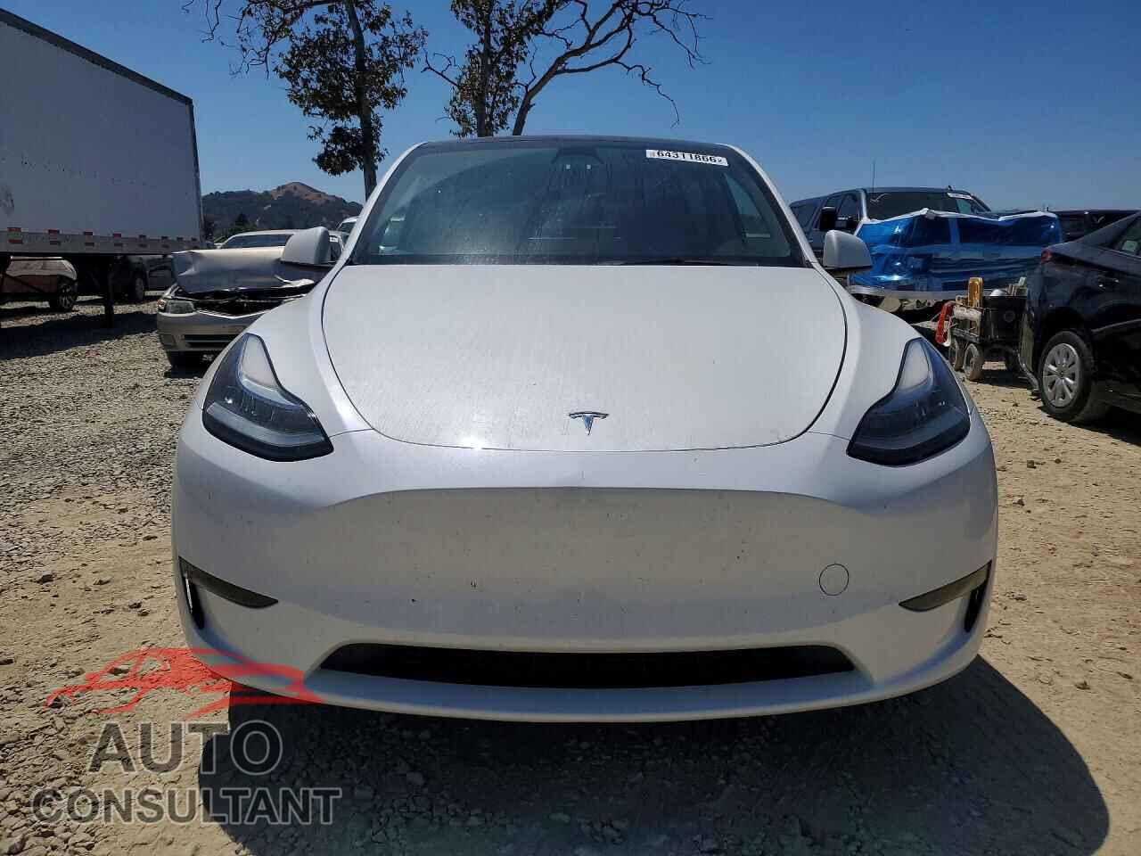 TESLA MODEL Y 2023 - 7SAYGDEEXPF611162