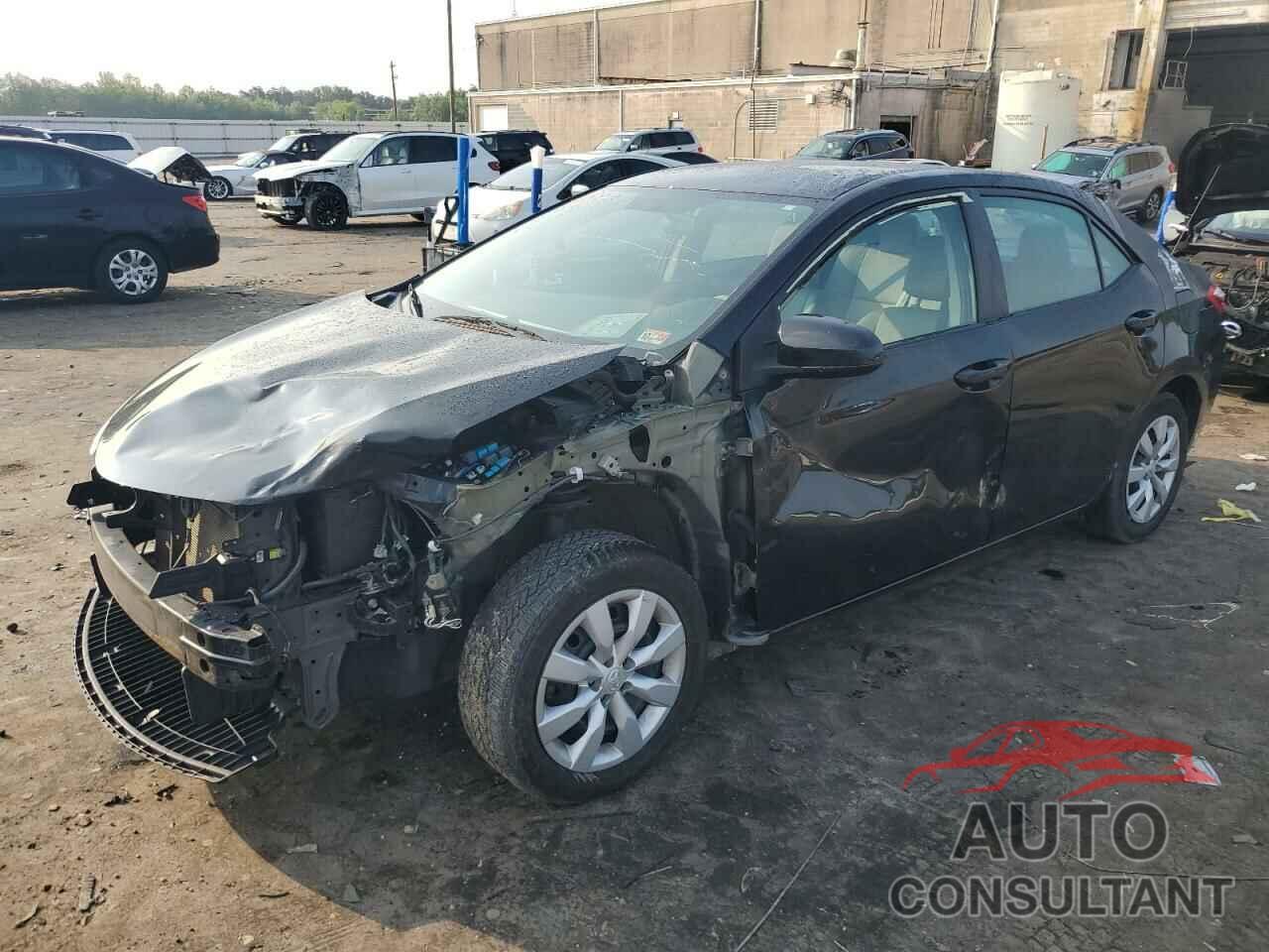 TOYOTA COROLLA 2016 - 2T1BURHE2GC559261