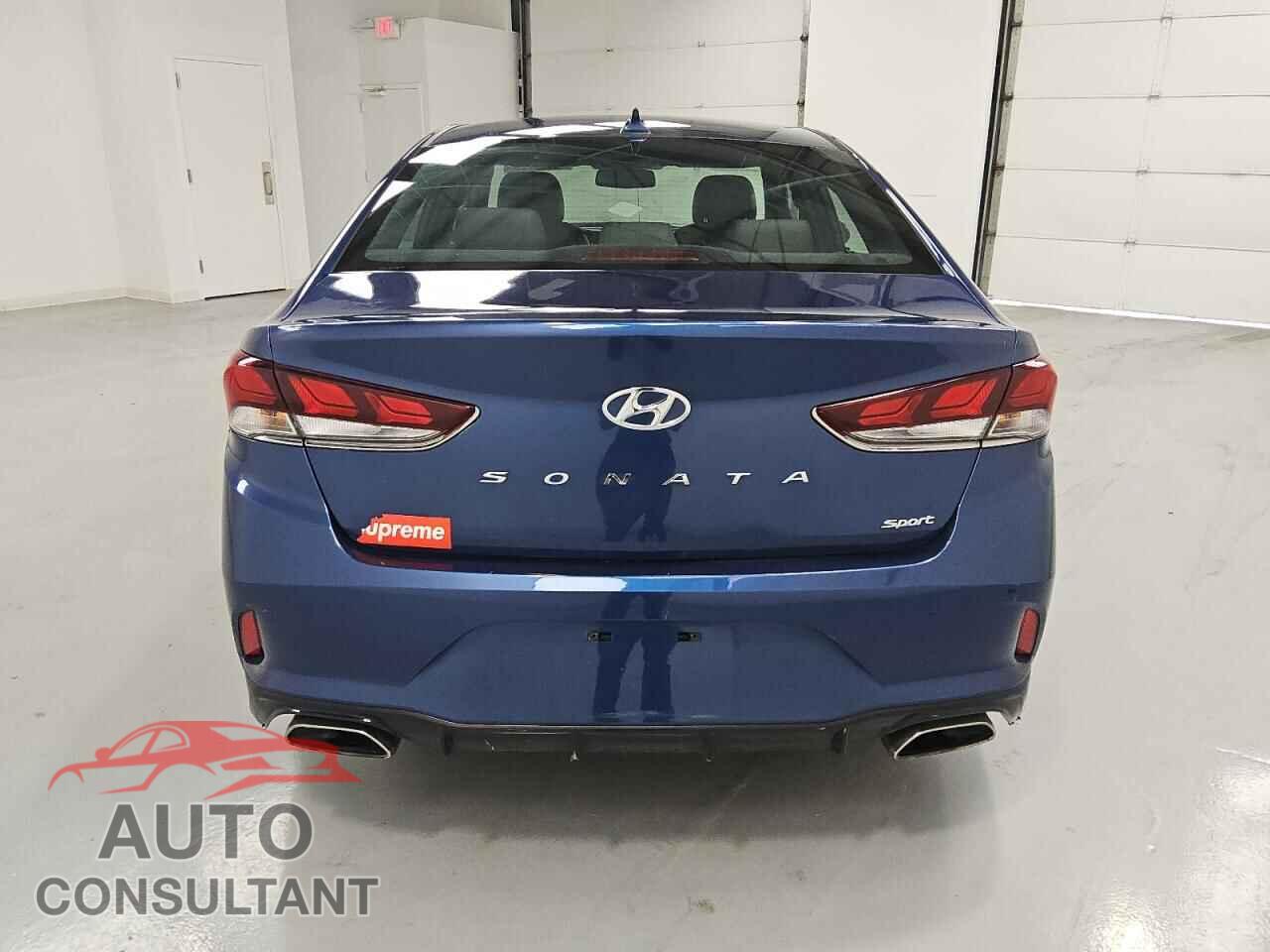 HYUNDAI SONATA 2019 - 5NPE34AF5KH818448
