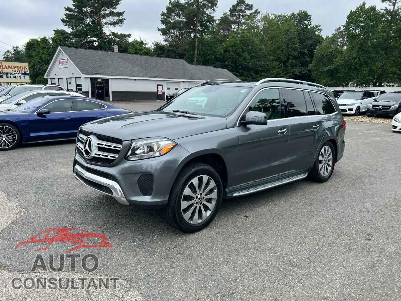 MERCEDES-BENZ GLS-CLASS 2019 - 4JGDF6EE8KB234462