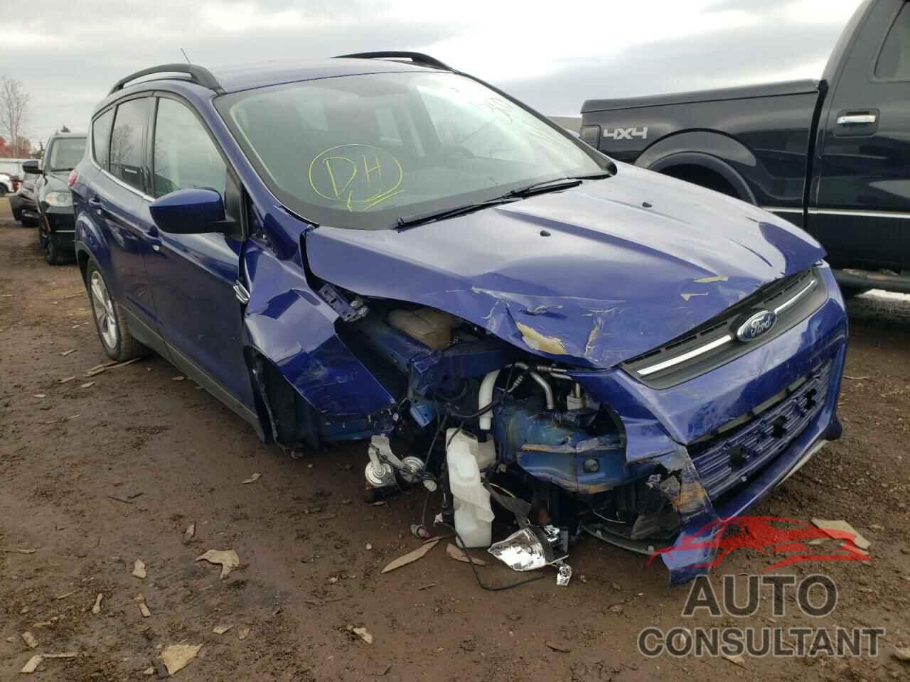 FORD ESCAPE 2016 - 1FMCU9GX9GUC37755