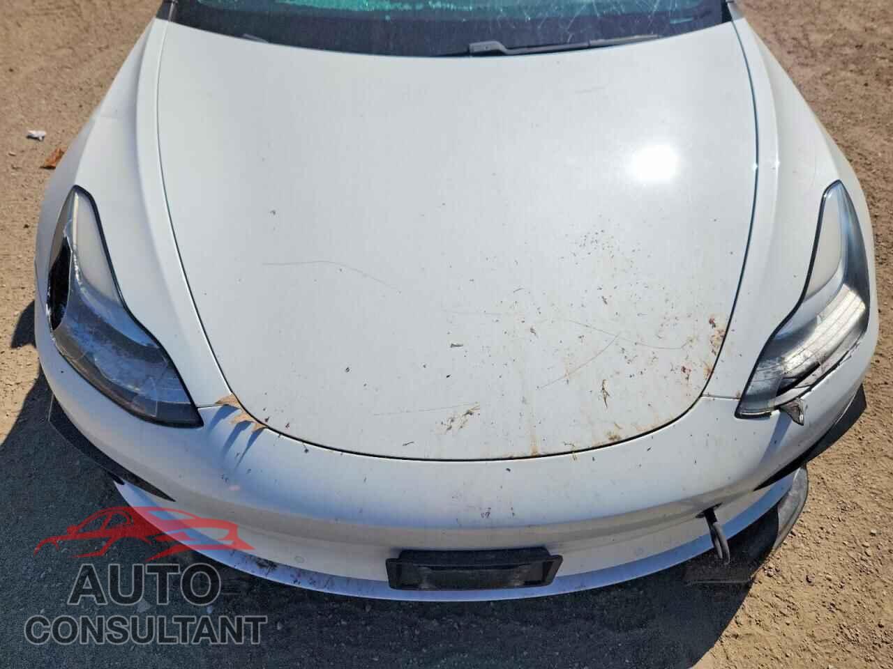 TESLA MODEL 3 2019 - 5YJ3E1EA4KF309867