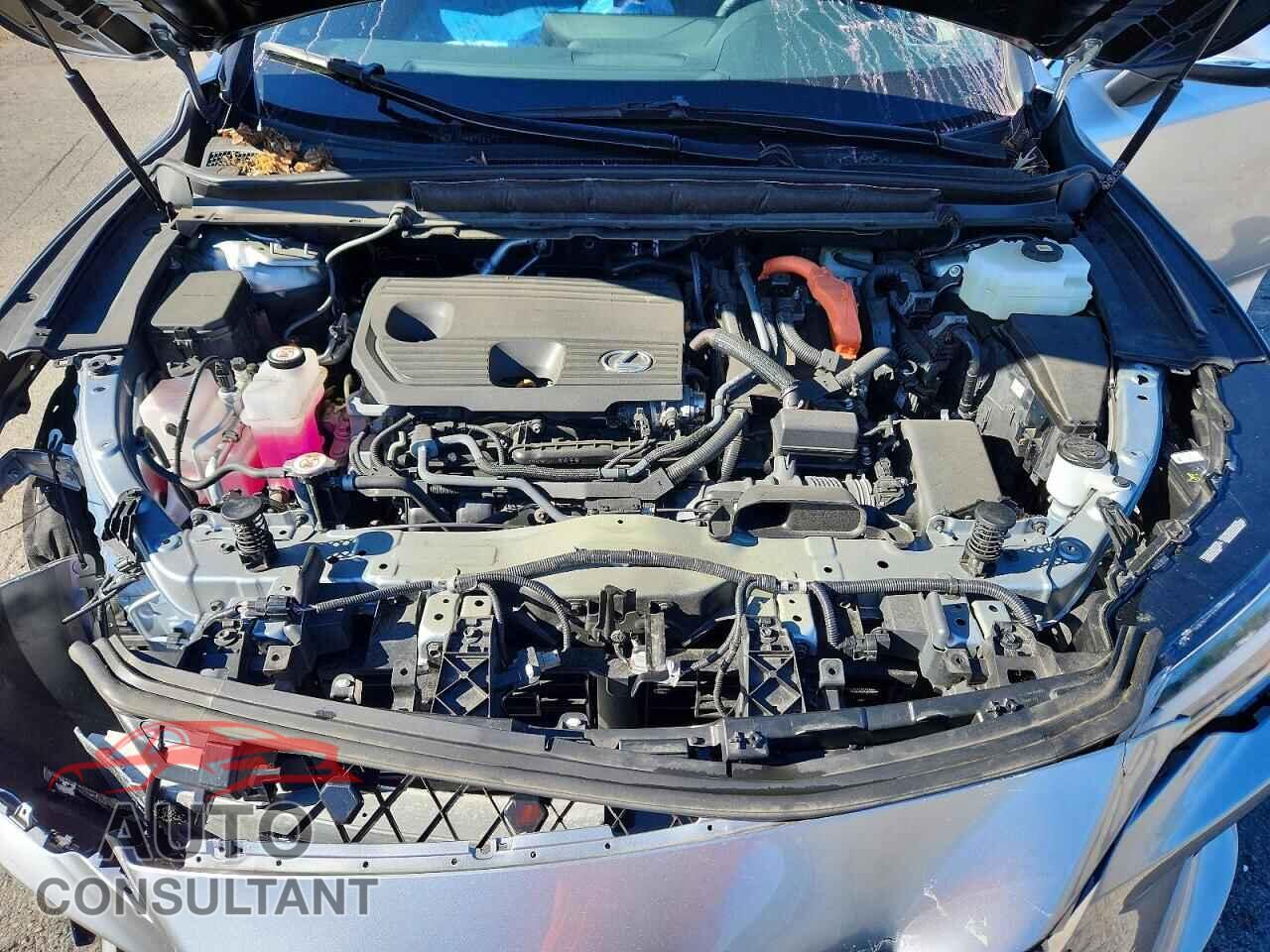 LEXUS RX300 2025 - 2T2BBMCA6SC077314