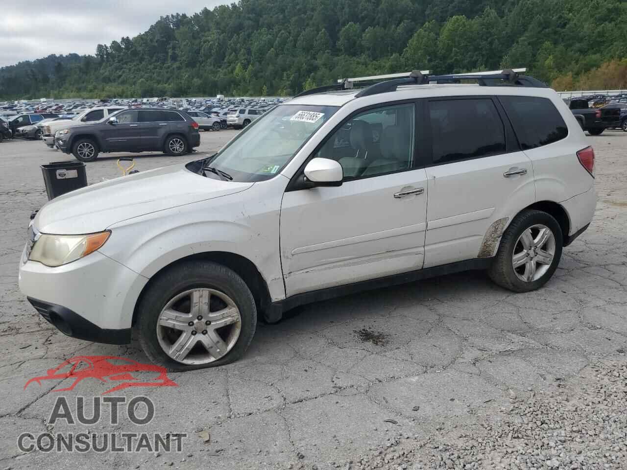 SUBARU FORESTER 2010 - JF2SH6CC2AG906445