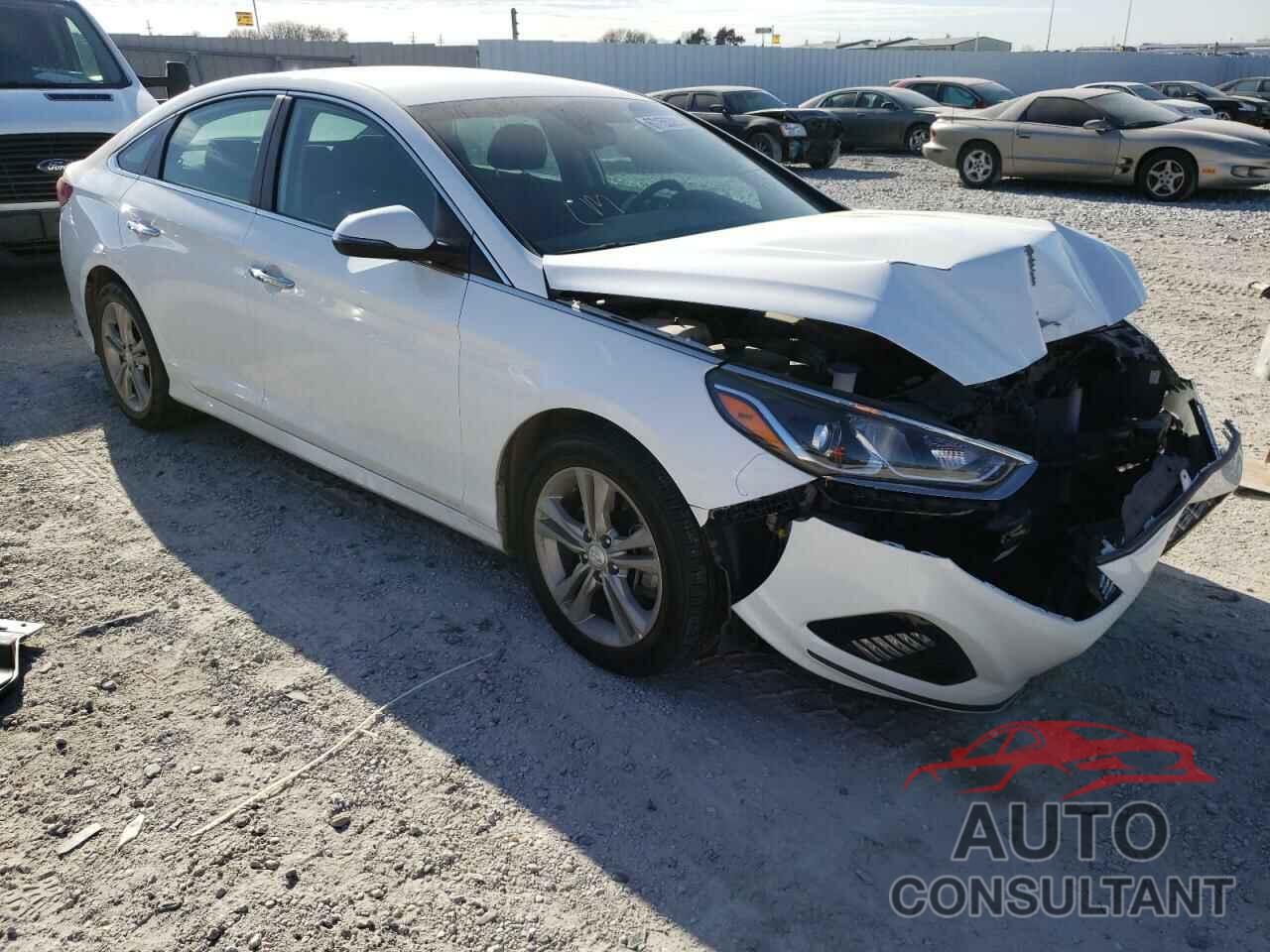 HYUNDAI SONATA 2019 - 5NPE34AF5KH771938