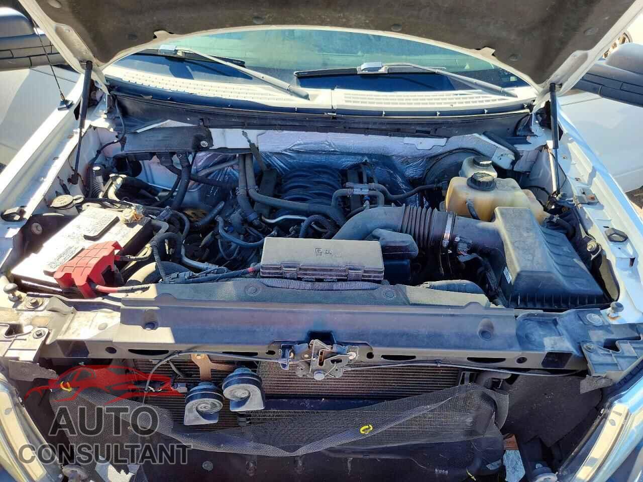 FORD F150 2012 - 1FTFW1CF4CFB51634