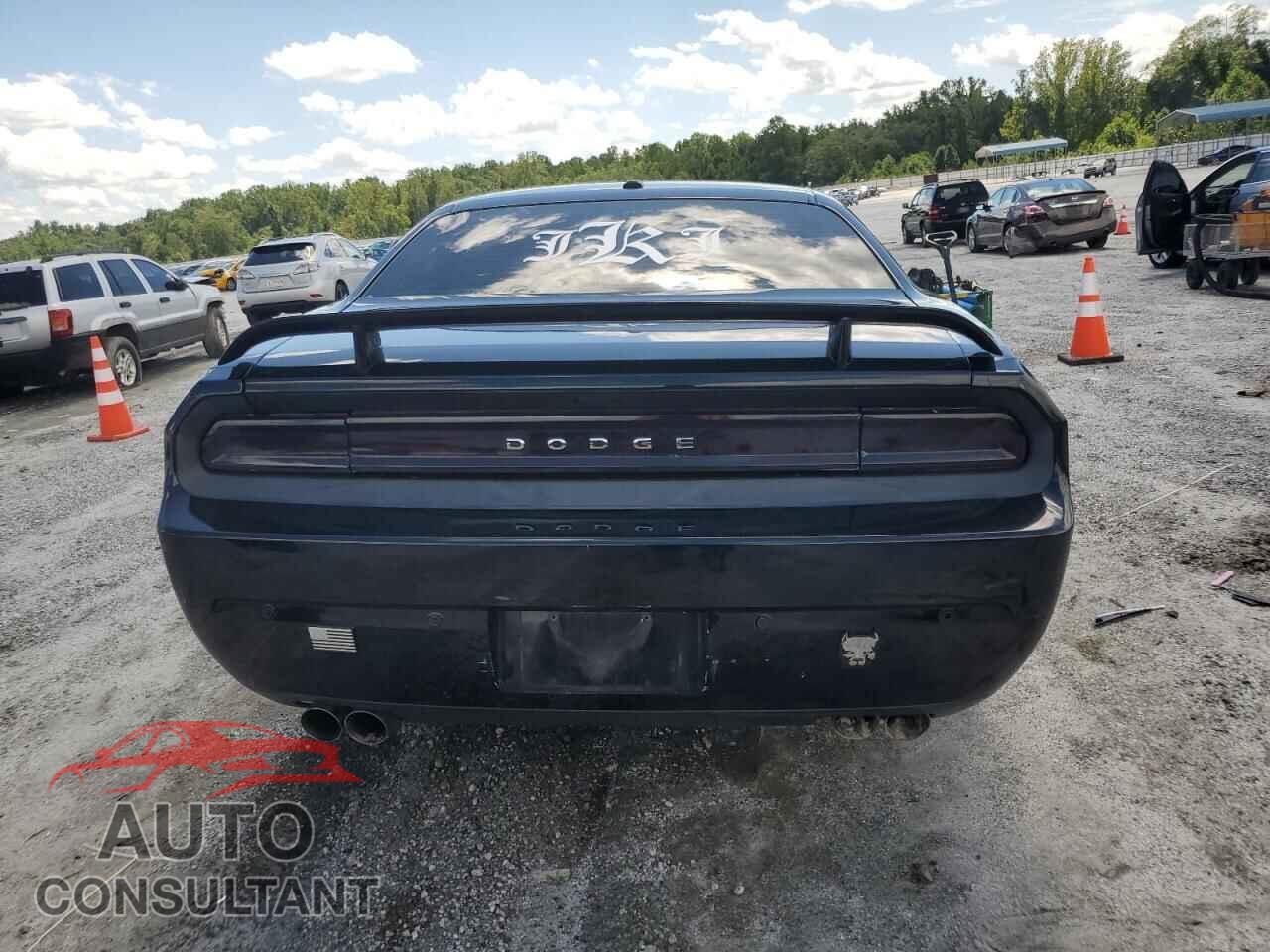 DODGE CHALLENGER 2013 - 2C3CDYBT9DH535955