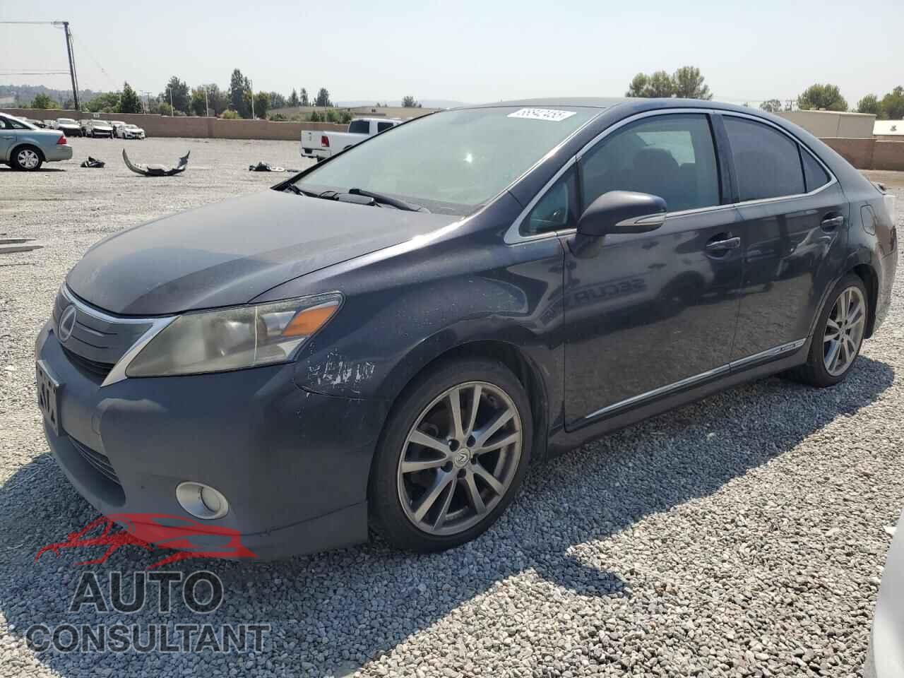 LEXUS HS 2010 - JTHBB1BA8A2013503