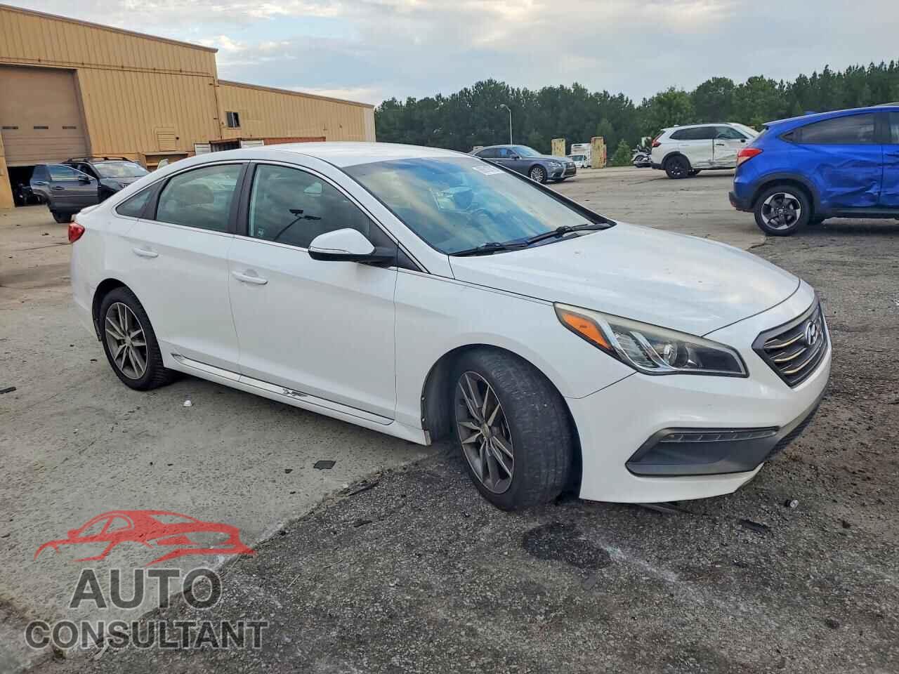 HYUNDAI SONATA 2017 - 5NPE34AB5HH511805