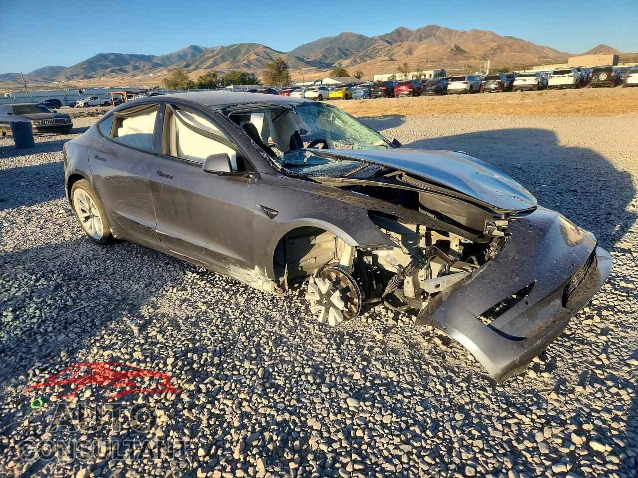 TESLA MODEL 3 2021 - 5YJ3E1EB2MF877269
