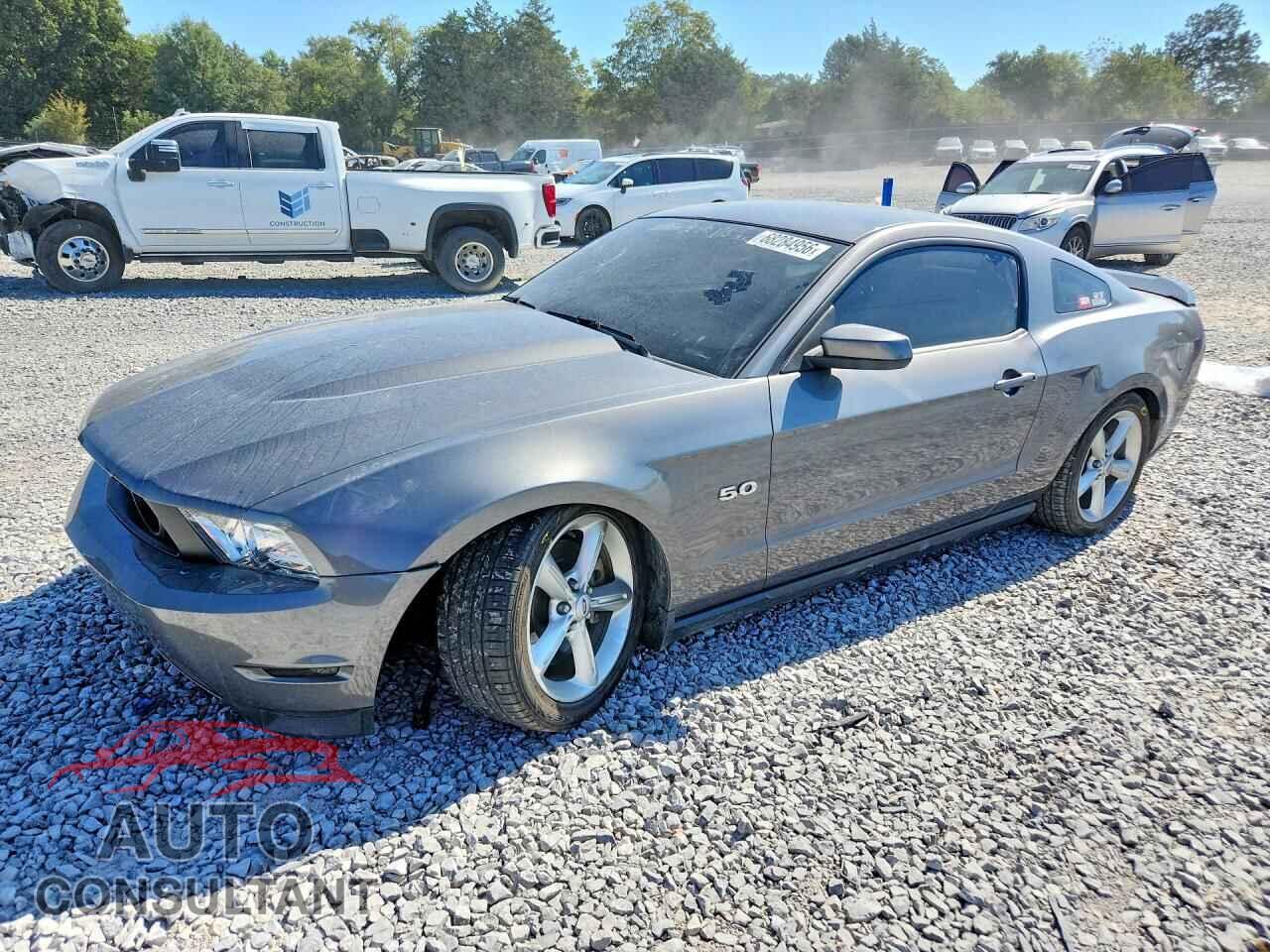 FORD MUSTANG 2011 - 1ZVBP8CF0B5155508