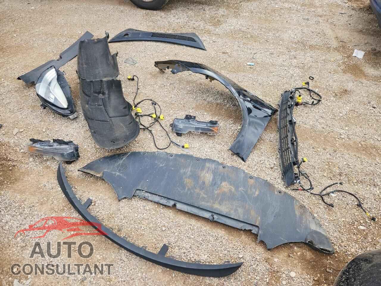 TESLA MODEL 3 2019 - 5YJ3E1EBXKF199920