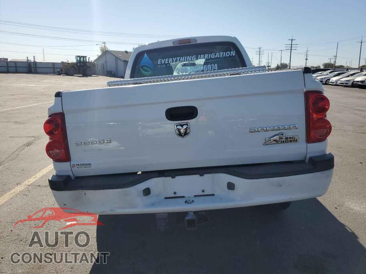 DODGE DAKOTA 2011 - 1D7RW3GK9BS529636