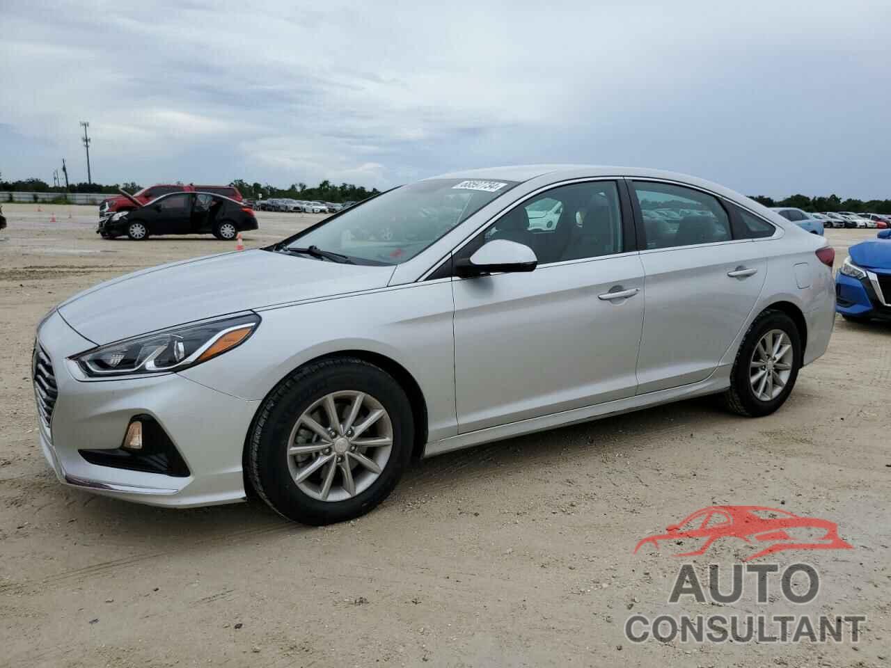 HYUNDAI SONATA 2019 - 5NPE24AF7KH797234