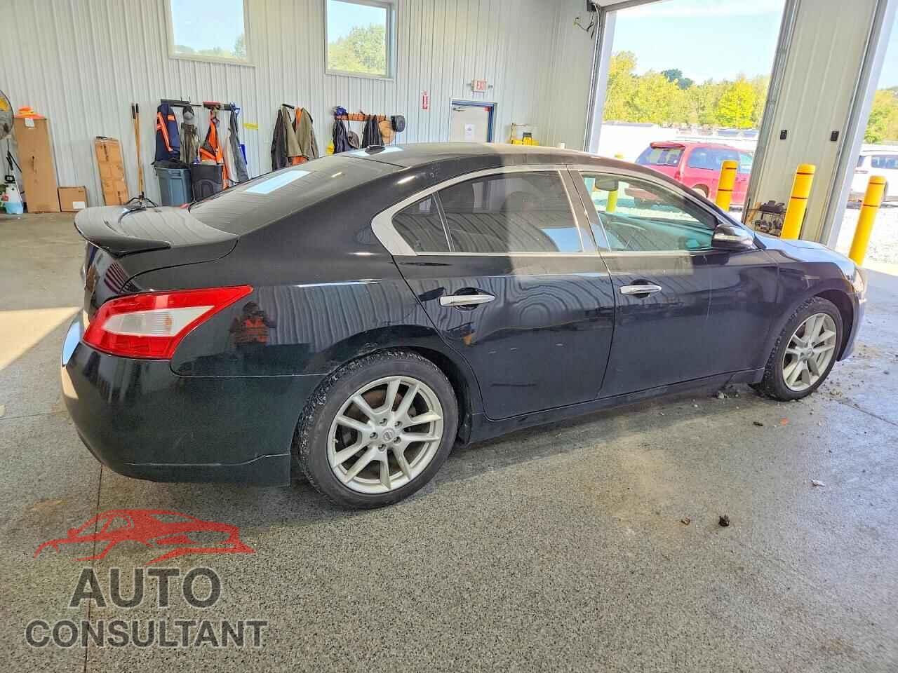 NISSAN MAXIMA 2011 - 1N4AA5AP0BC845321