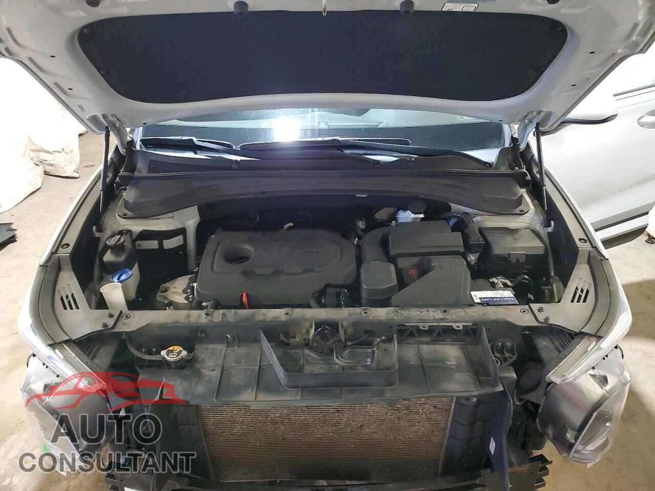 HYUNDAI SANTA FE 2019 - 5NMS3CAD0KH008105