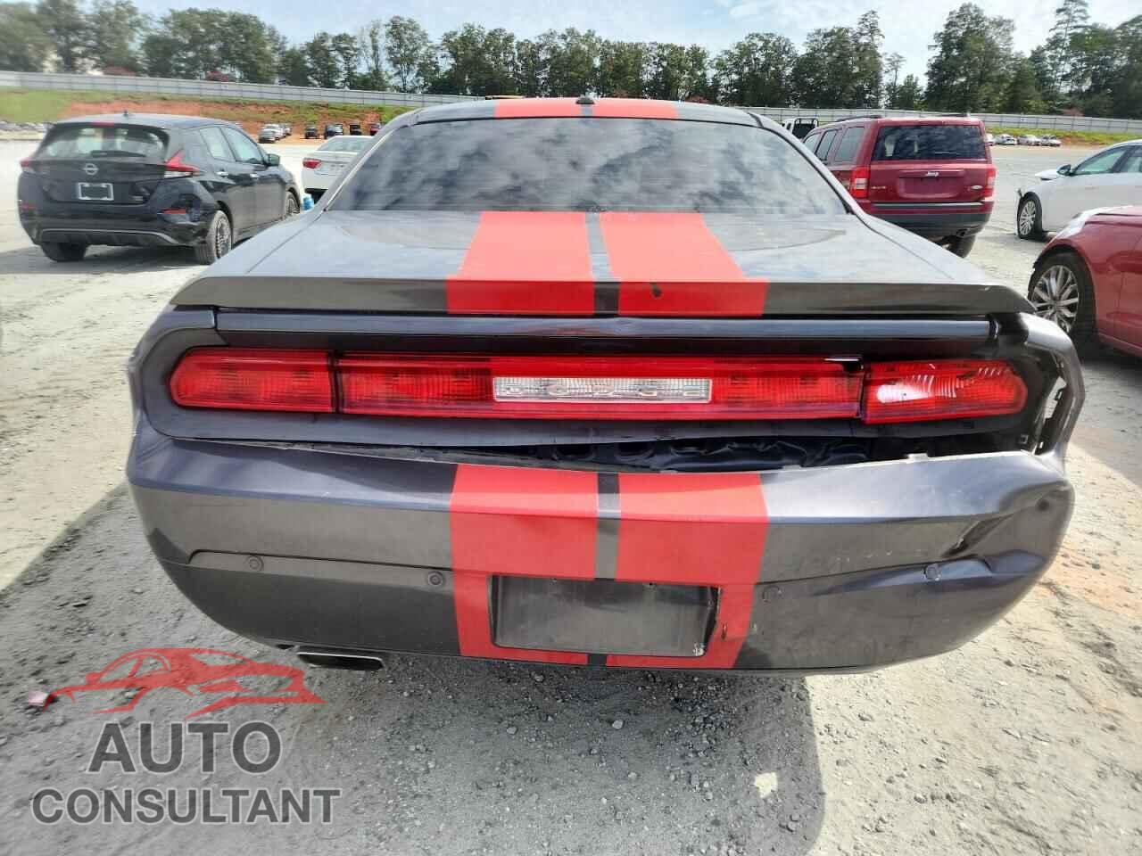 DODGE CHALLENGER 2013 - 2C3CDYAG2DH641507