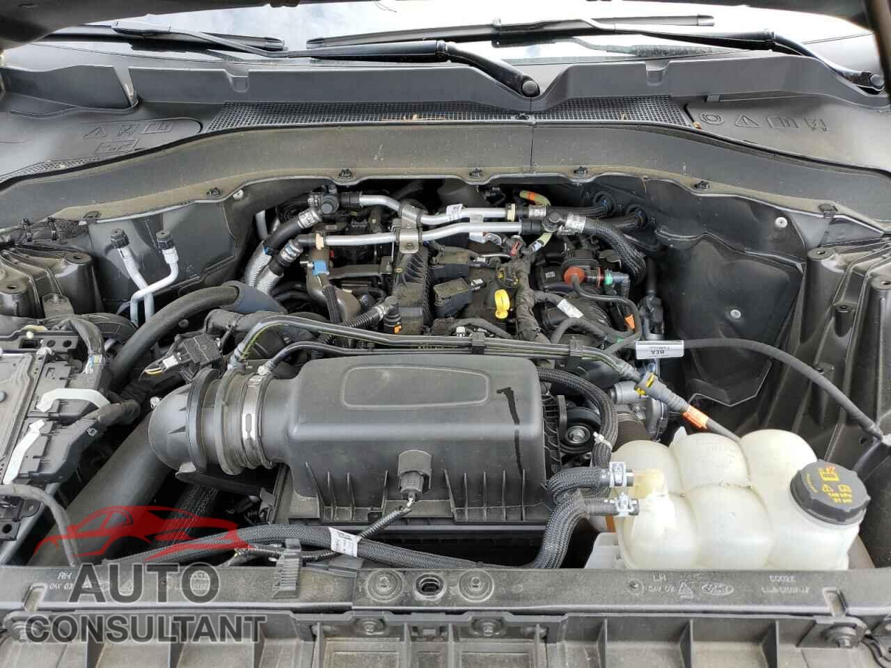 FORD EXPLORER 2022 - 1FMSK8DH3NGA66571