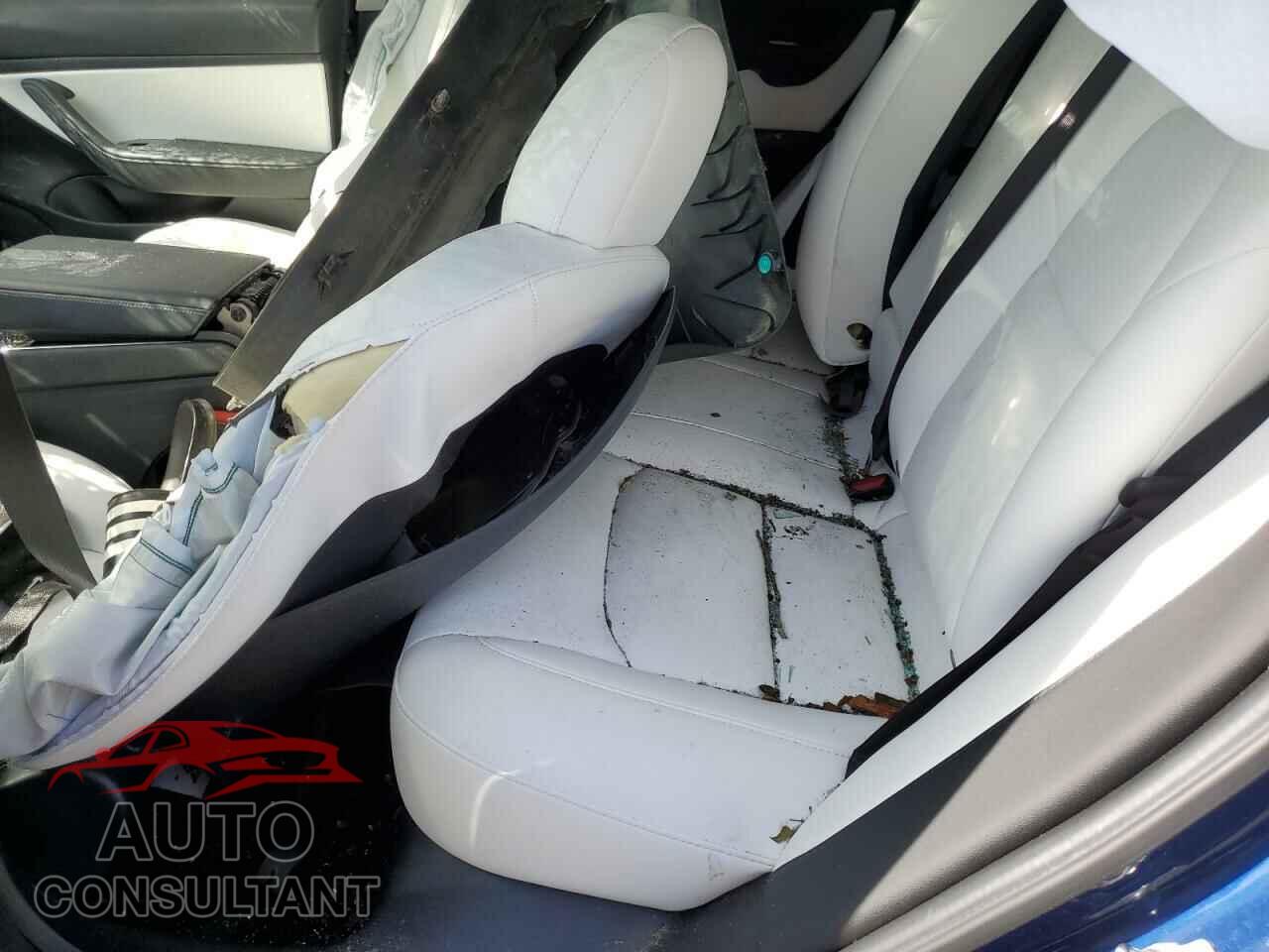 TESLA MODEL 3 2019 - 5YJ3E1EB9KF393600