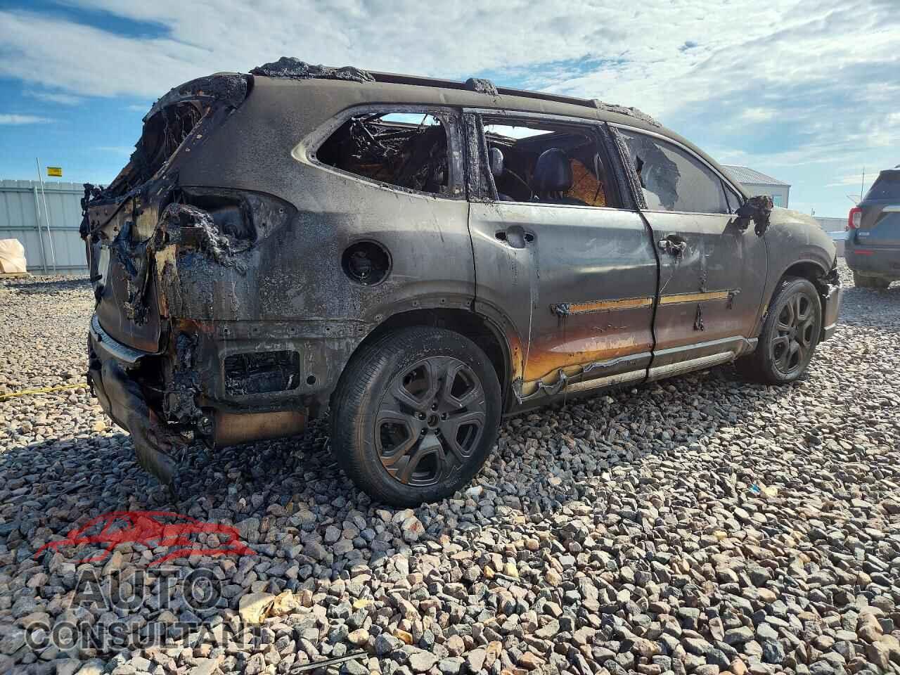 SUBARU ASCENT 2025 - 4S4WMAUD1S3408134