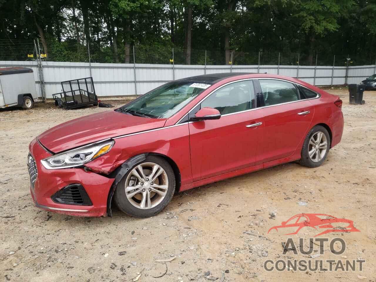HYUNDAI SONATA 2019 - 5NPE34AF3KH763966