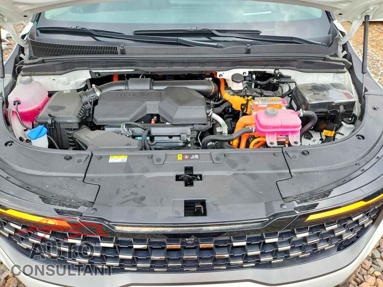 KIA UNKNOWN 2026 - KNDNE5KAXT6128919