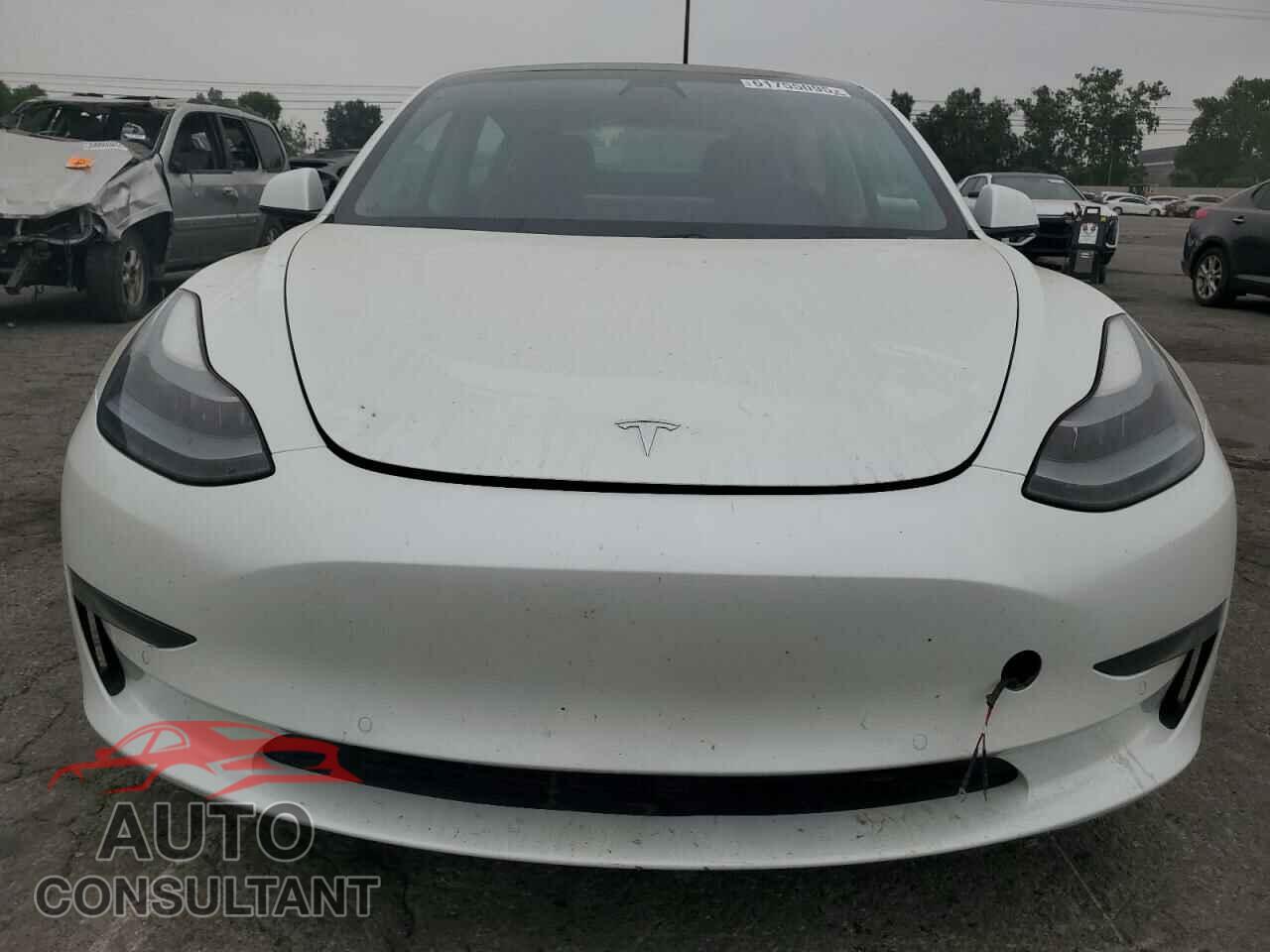 TESLA MODEL 3 2021 - 5YJ3E1EA1MF028709