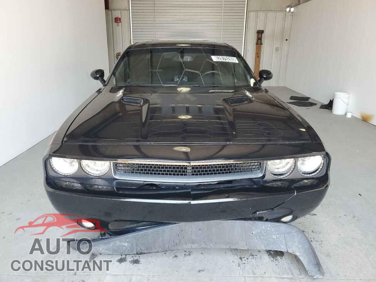DODGE CHALLENGER 2013 - 2C3CDYBT5DH669880