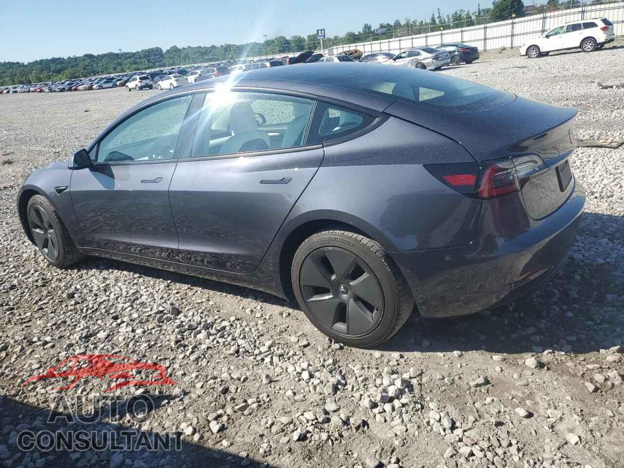 TESLA MODEL 3 2021 - 5YJ3E1EB0MF037233