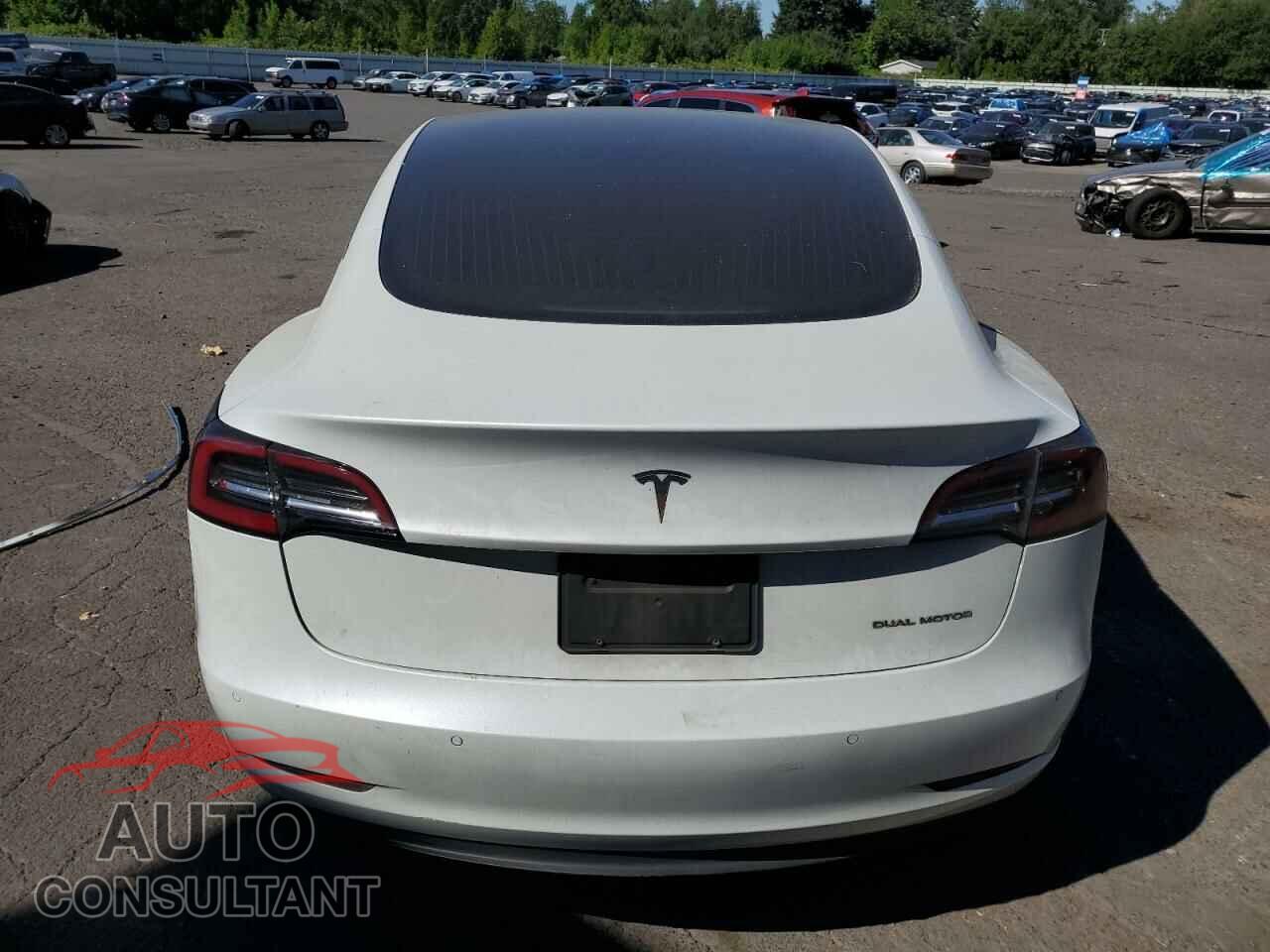 TESLA MODEL 3 2020 - 5YJ3E1EB0LF628435