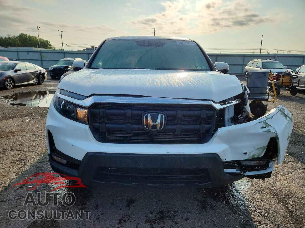 HONDA RIDGELINE 2026 - 5FPYK3F58TB013352