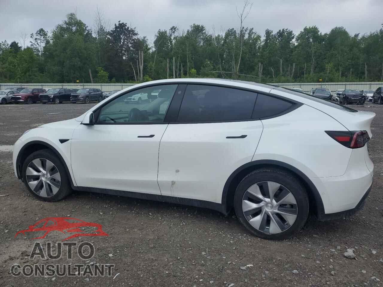 TESLA MODEL Y 2022 - 7SAYGAEE8NF567495