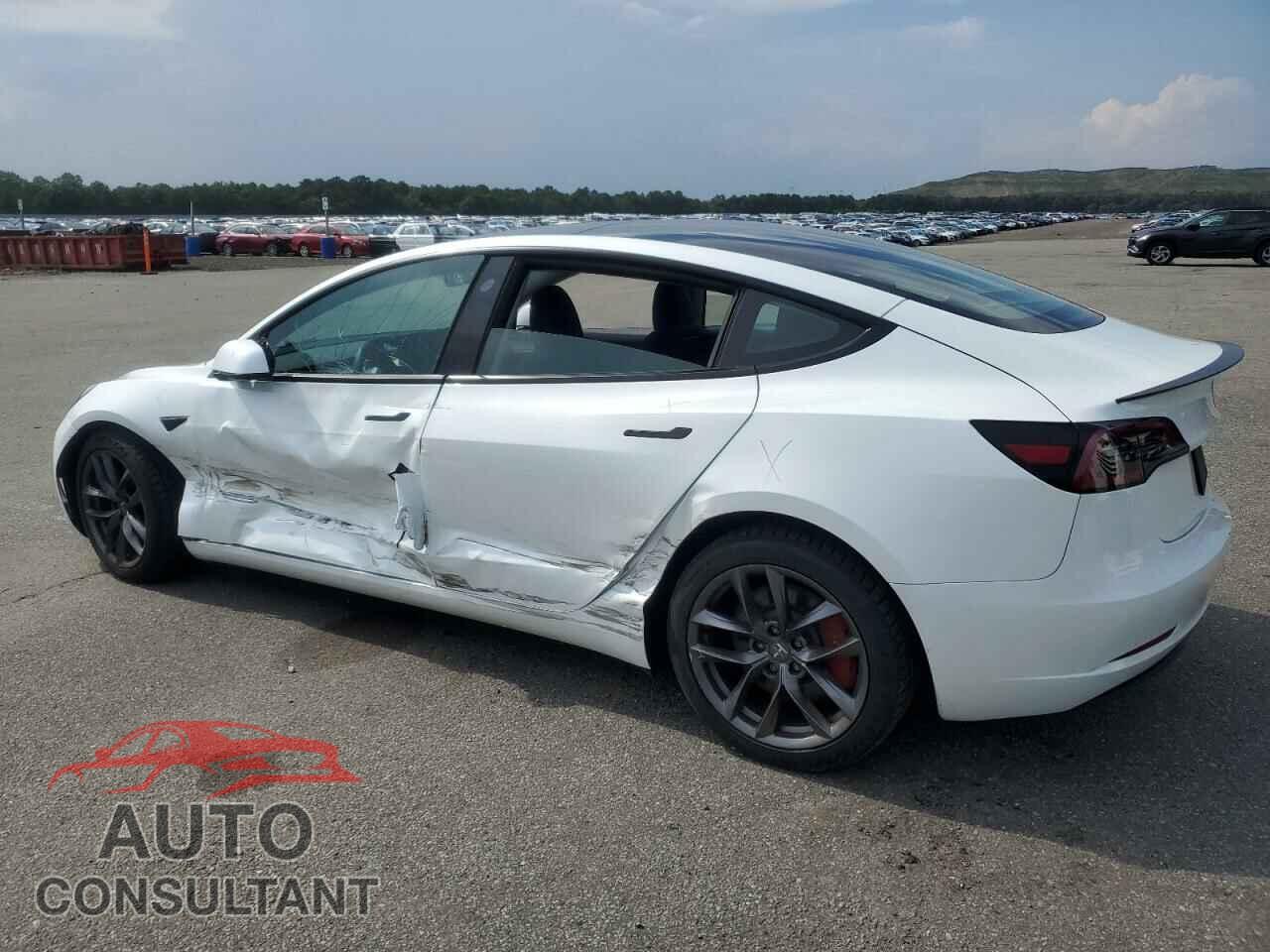 TESLA MODEL 3 2023 - 5YJ3E1EC1PF603879