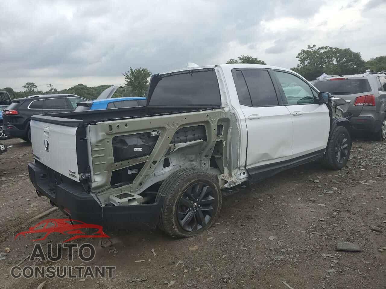 HONDA RIDGELINE 2023 - 5FPYK3F19PB044175