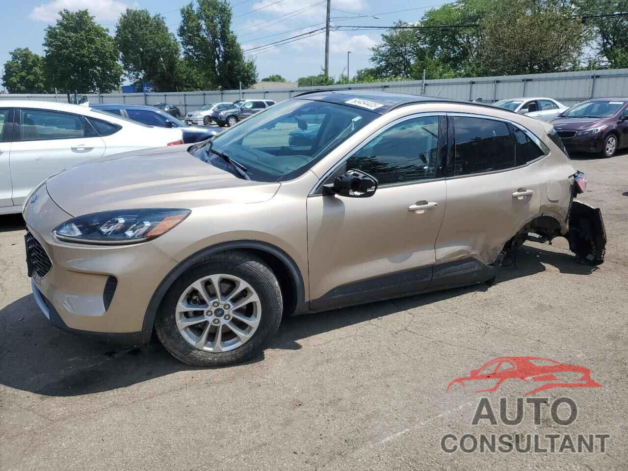 FORD ESCAPE 2020 - 1FMCU0G66LUA98892