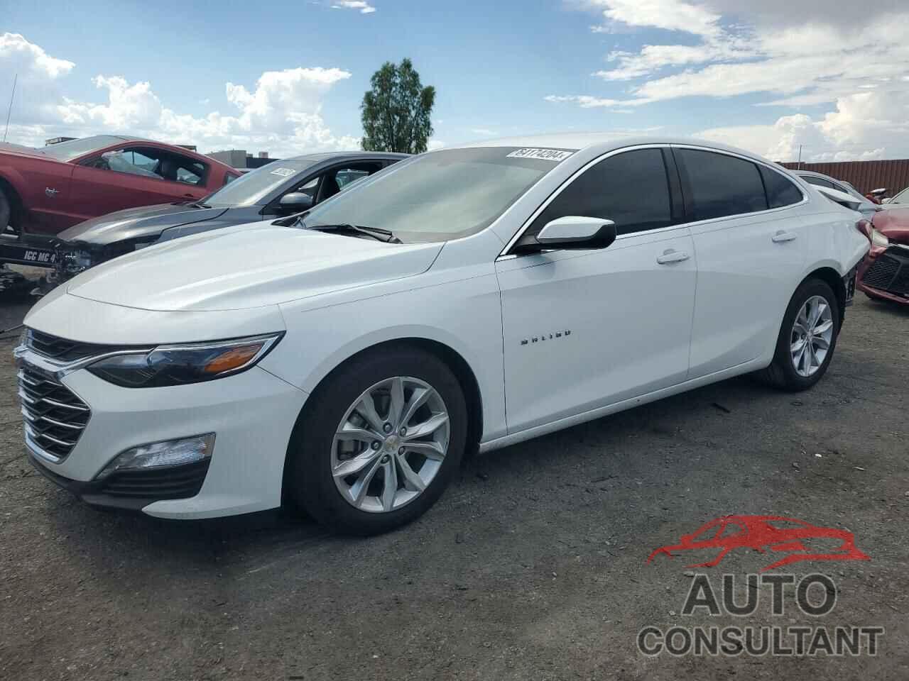 CHEVROLET MALIBU 2019 - 1G1ZD5ST8KF120122