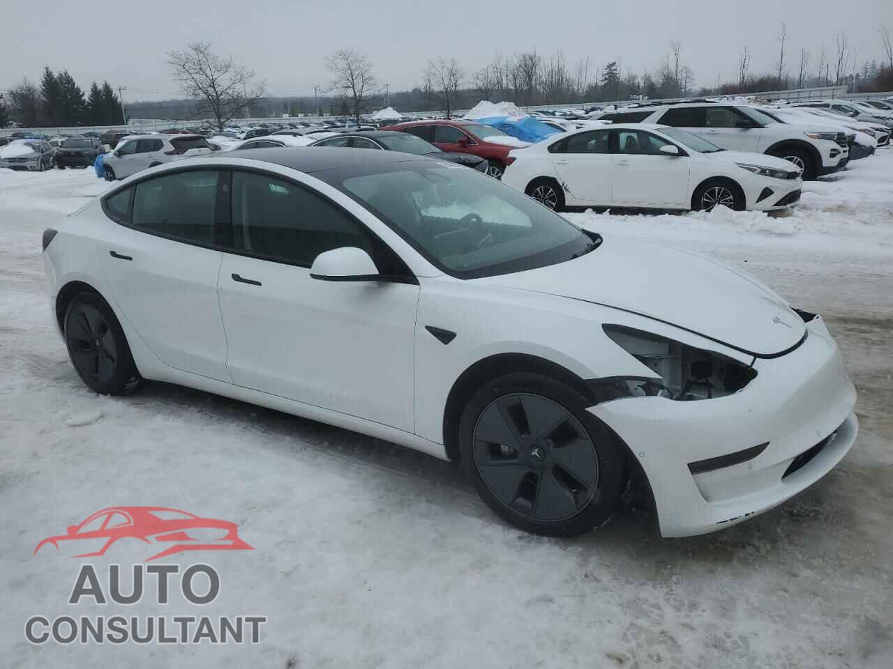 TESLA MODEL 3 2021 - 5YJ3E1EA4MF092260