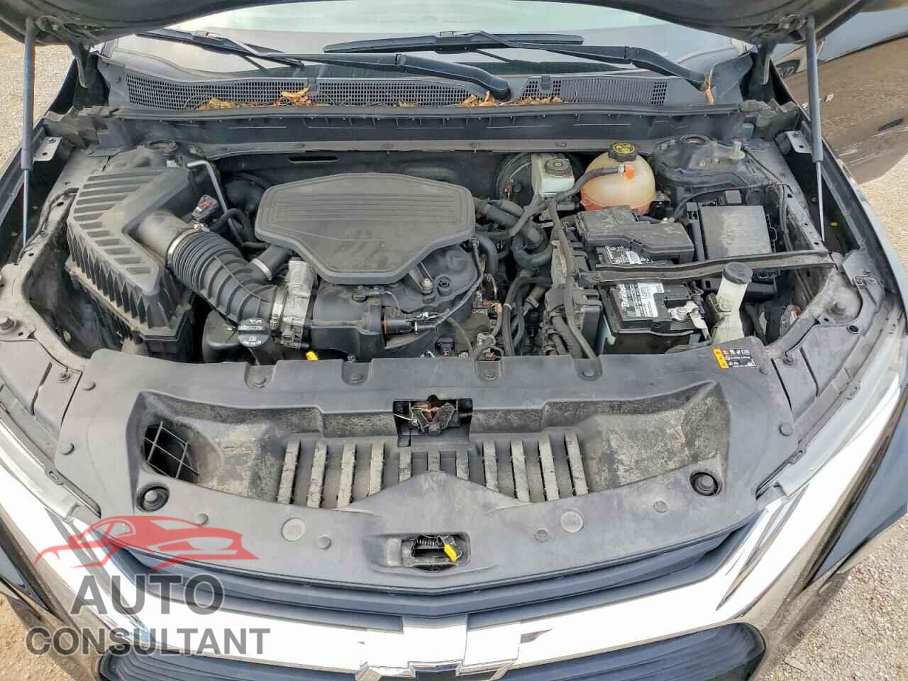 CHEVROLET BLAZER 2019 - 3GNKBCRS7KS570072