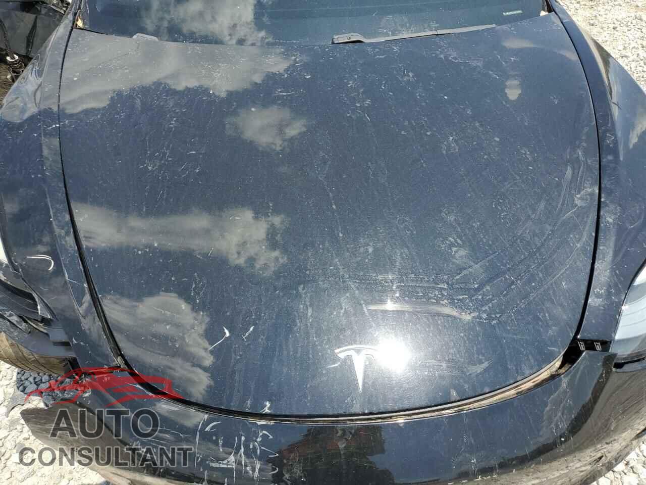 TESLA MODEL 3 2019 - 5YJ3E1EA5KF395643