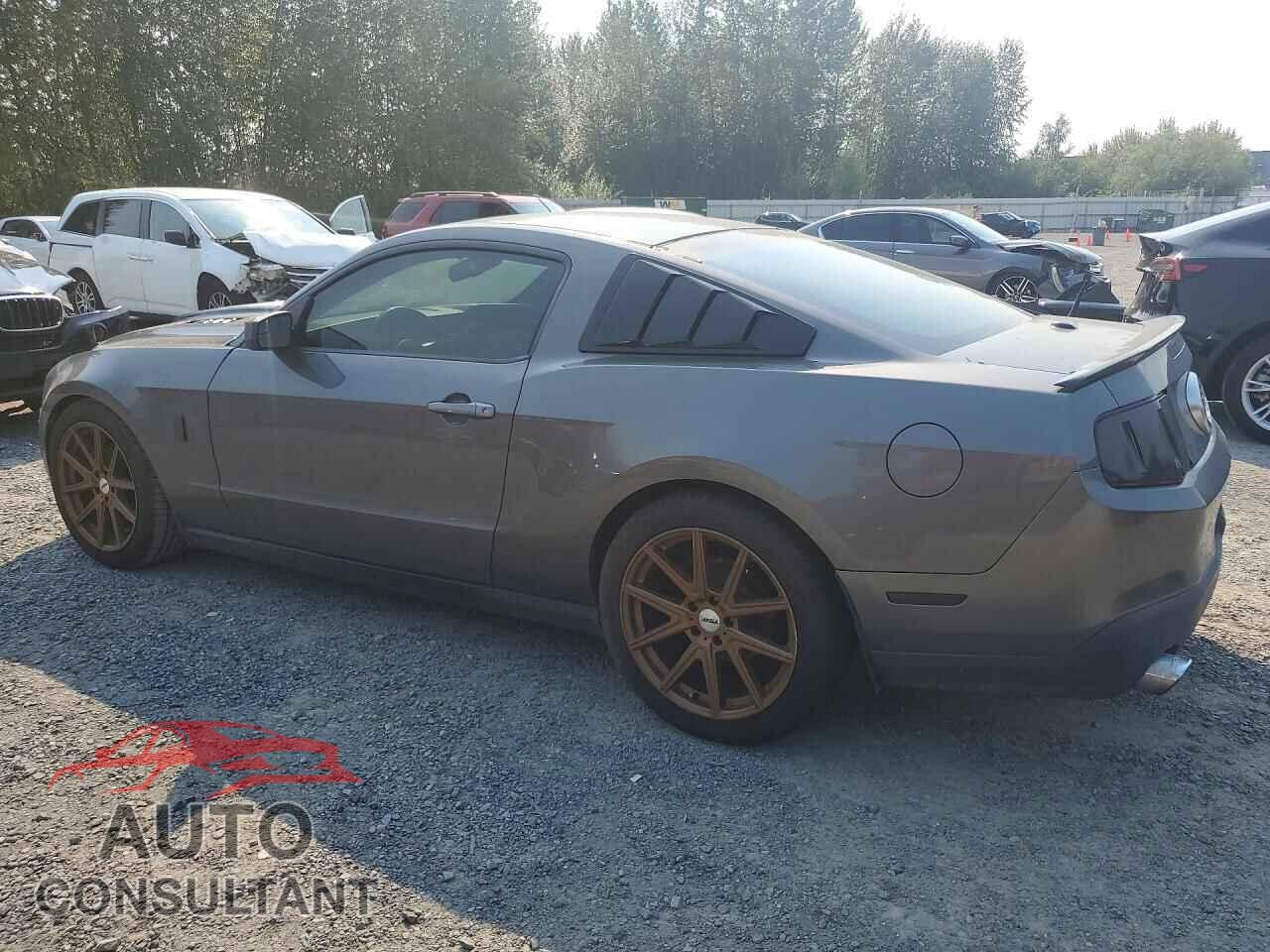 FORD MUSTANG 2011 - 1ZVBP8CF4B5137237