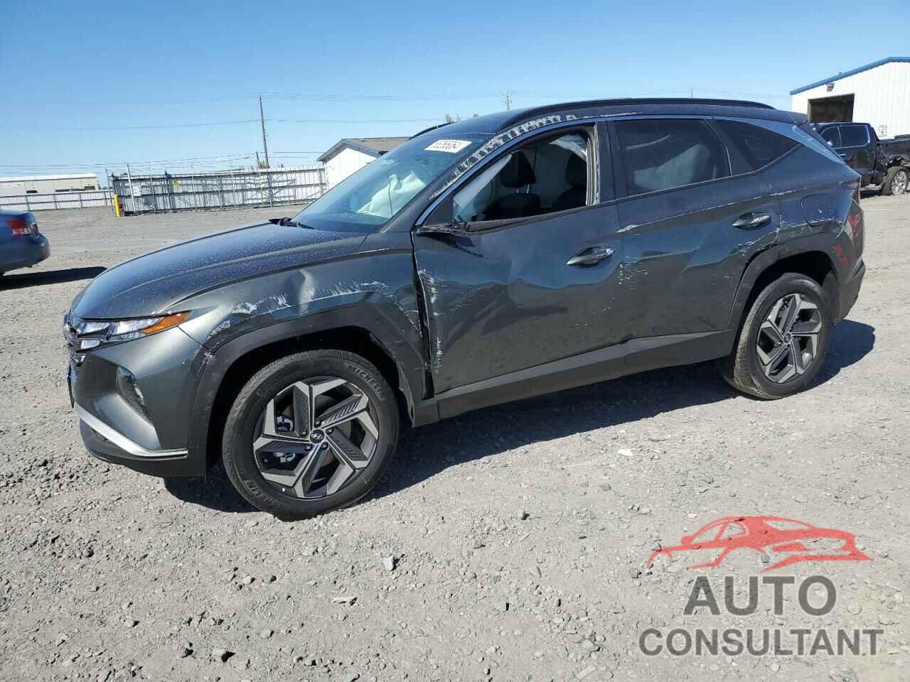 HYUNDAI TUCSON 2024 - KM8JCCD19RU231562