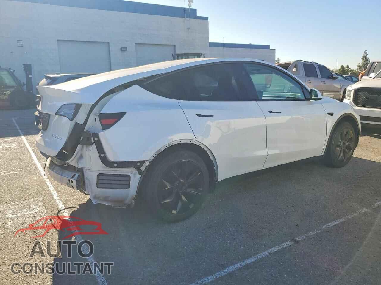 TESLA MODEL Y 2024 - 7SAYGDED8RF128649