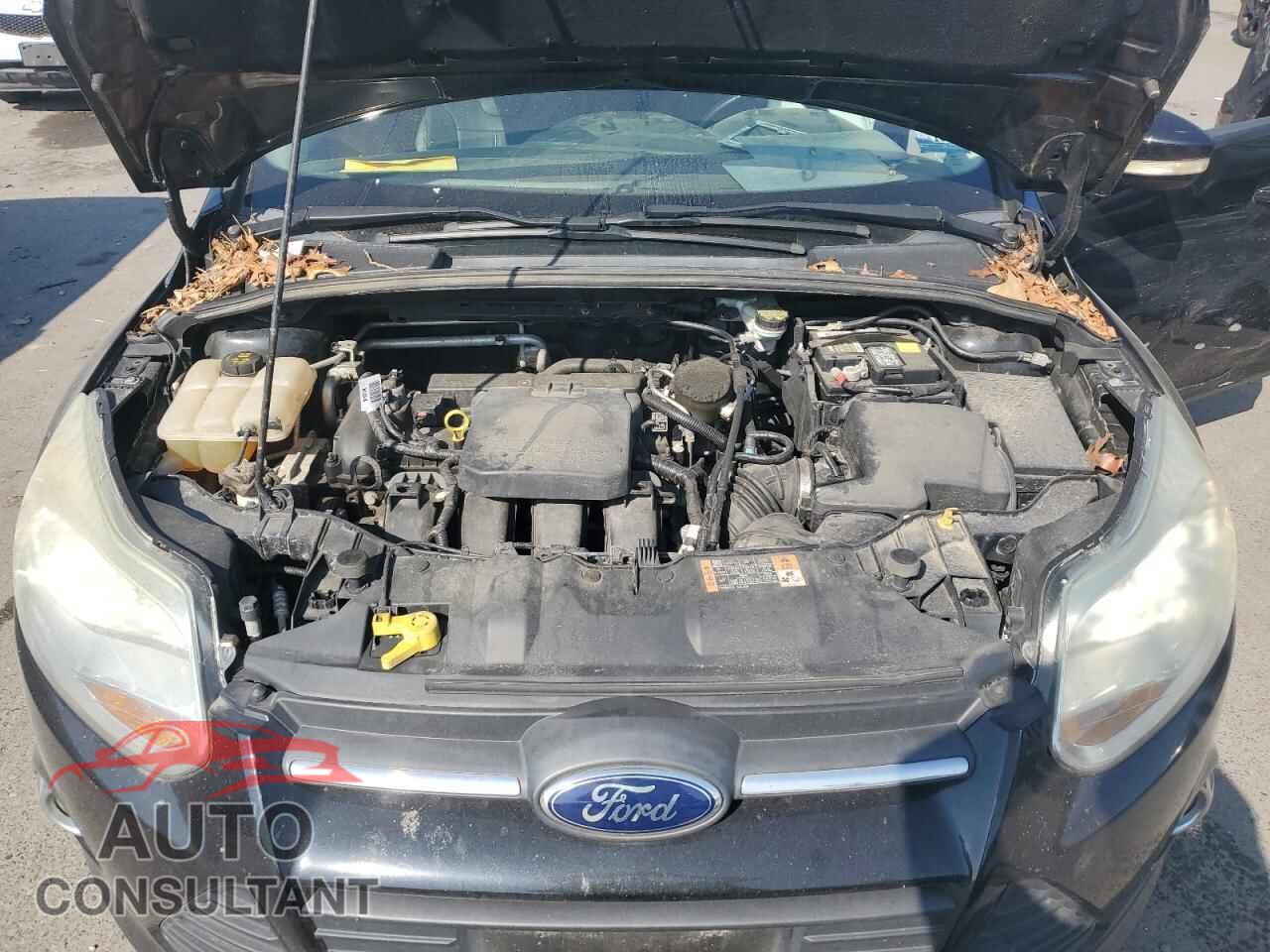 FORD FOCUS 2014 - 1FADP3K20EL377906