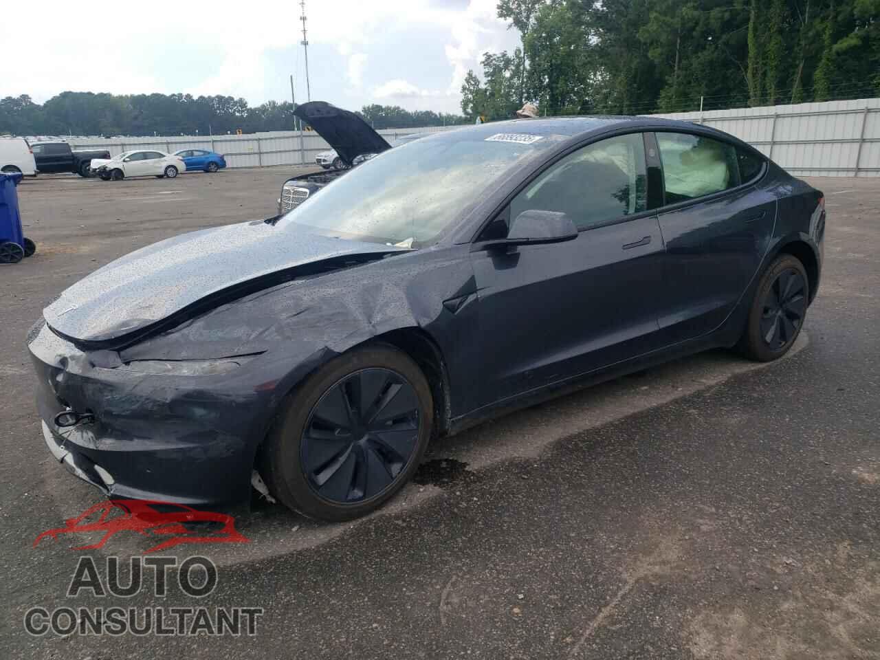 TESLA MODEL 3 2025 - 5YJ3E1EA8SF017655