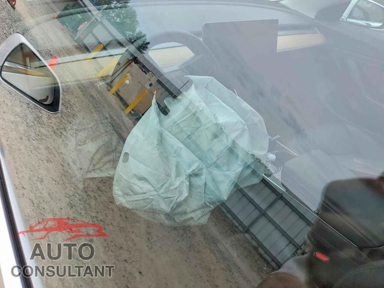 TESLA MODEL 3 2019 - 5YJ3E1EA3KF314042